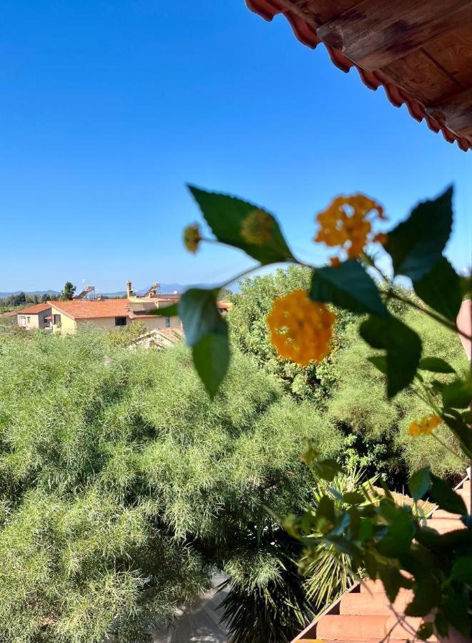 Appartamento Casa Di Rosy San Sperate Esterno foto
