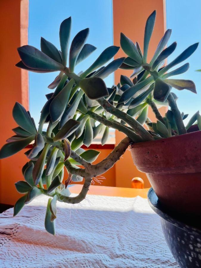 Appartamento Casa Di Rosy San Sperate Esterno foto