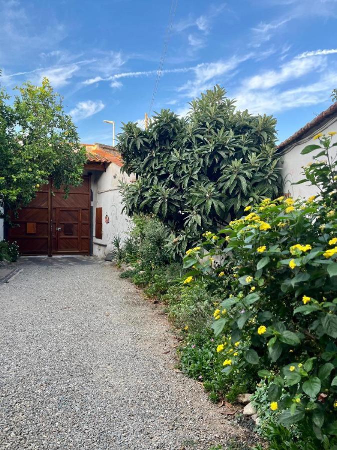 Appartamento Casa Di Rosy San Sperate Esterno foto